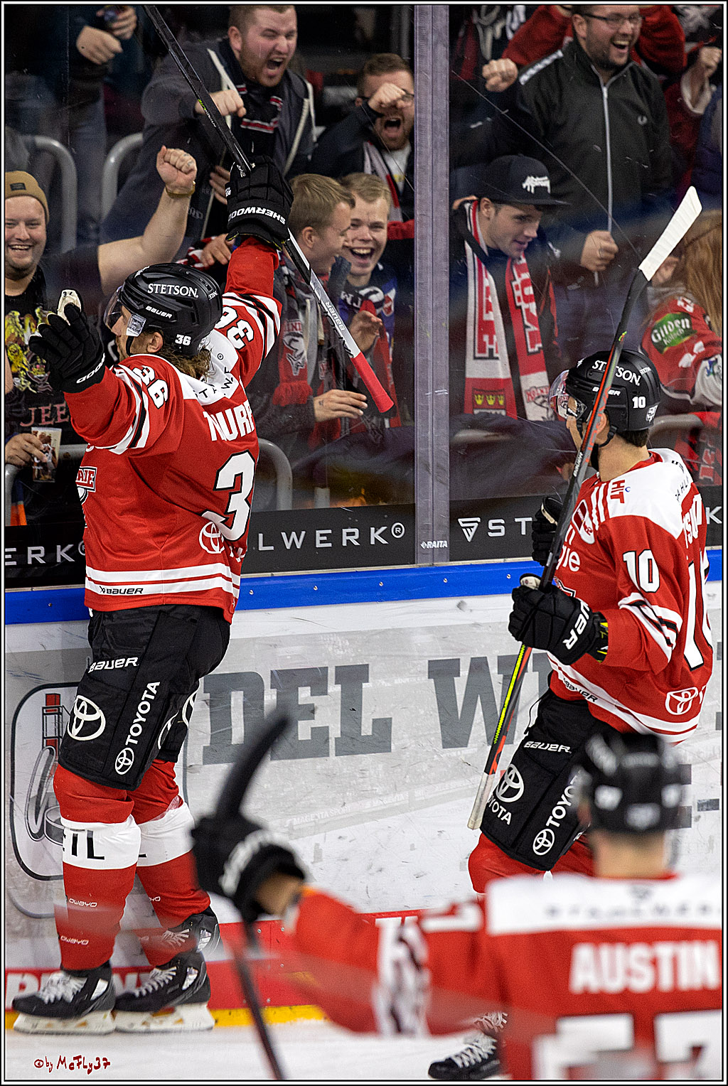 PENNY DEL;  Kölner Haie - Straubing Tigers; Köln, 09.10.2022